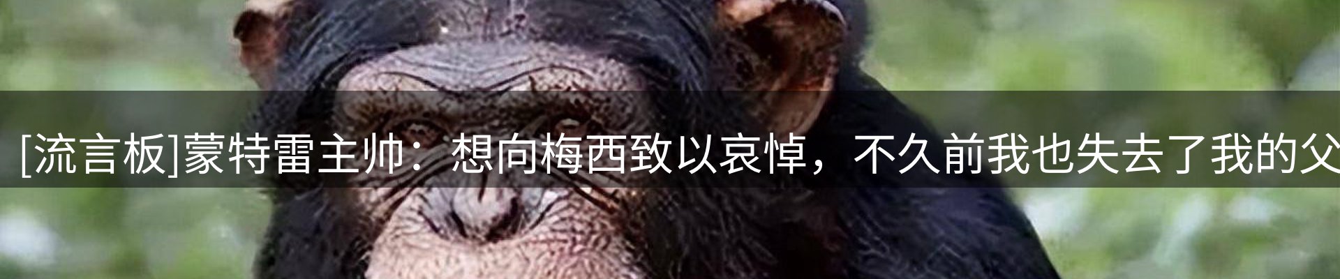 综合资讯